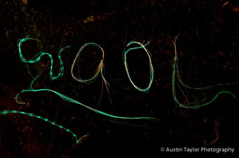 Luminous yarns. Pic. Austin Taylor