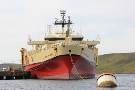 The Ramform Challenger, one of the significantly larger modern-day oil industry vessels, at Dale's Voe. Photo courtesy of LPA