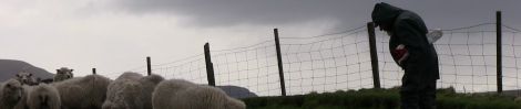 Clavel will be screen four times during Shetland Wool Week - Photo: Shona Main