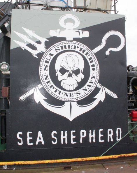 Sea Shepherd style themselves as Neptune's Navy. Photo Yetti Biscuit
