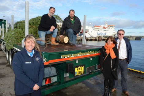 Taking delivery of Lerwick's Xmas tree are: Jane Leask (NorthLink), Neil Robertson (SIC roads engineer), Robbie Leslie (Northwards depot manager), Cynthia Adamson (Living Lerwick chairwoman), Steve Mathieson (Living Lerwick vice chairman) - Photo: Dave Donaldson