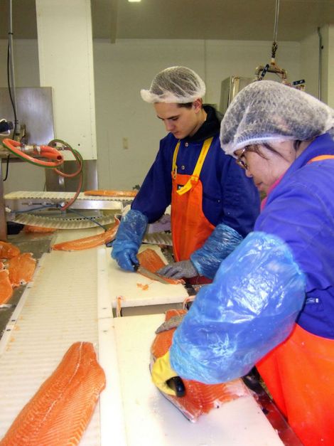 Twenty jobs are to be lost in the fish factory while a further five have gone on the sea sites.