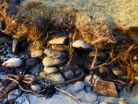 Stones, uncovered as a result of coastal erosion, at the Sands of Sound. Shetland Amenity Trust says they were likely part of a Neolithic house. Photo: Michael Peterson