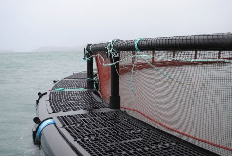 One of the Triton pens purchased by Cooke Aquaculture.