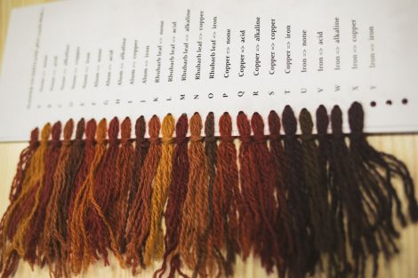 Dyed wool during the 25 shades from one dyebath class.