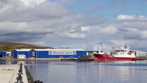 All pelagic businesses in the sample reported high dependency. Photo: Shetland News