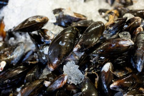 Mussels on ice at a market.