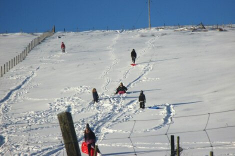 A group of people sledding down a hill.