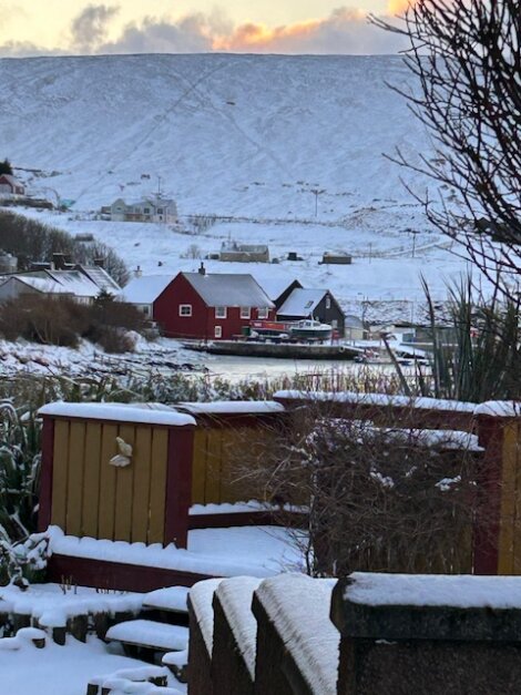 A snowy scene with a red house in the background.